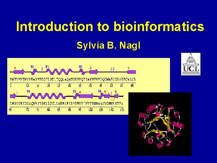 Introduction to bioinformatics Sylvia B. Nagl 