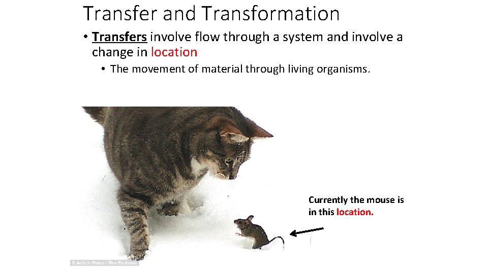 Transfer and Transformation • Transfers involve flow through a system and involve a change