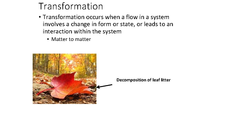 Transformation • Transformation occurs when a flow in a system involves a change in