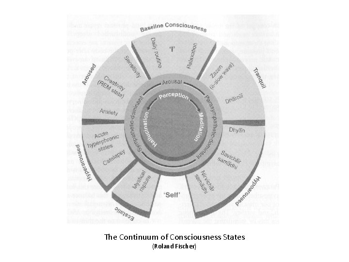 The Continuum of Consciousness States (Roland Fischer) 