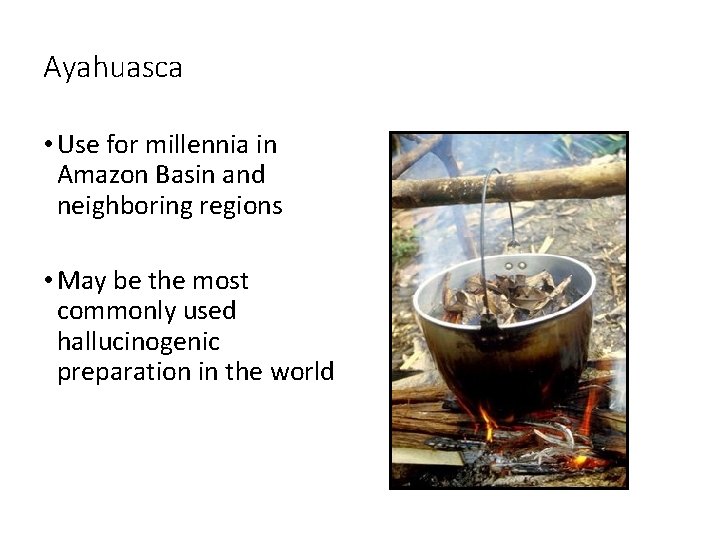 Ayahuasca • Use for millennia in Amazon Basin and neighboring regions • May be