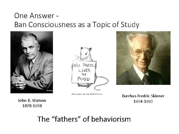 One Answer Ban Consciousness as a Topic of Study John B. Watson 1878 -1958