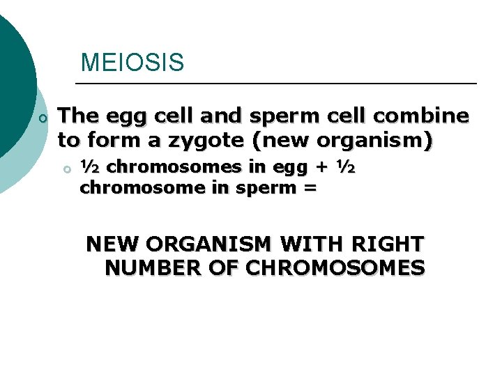 MEIOSIS o The egg cell and sperm cell combine to form a zygote (new