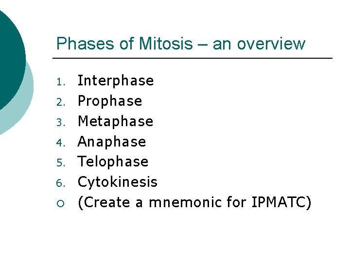 Phases of Mitosis – an overview 1. 2. 3. 4. 5. 6. ¡ Interphase