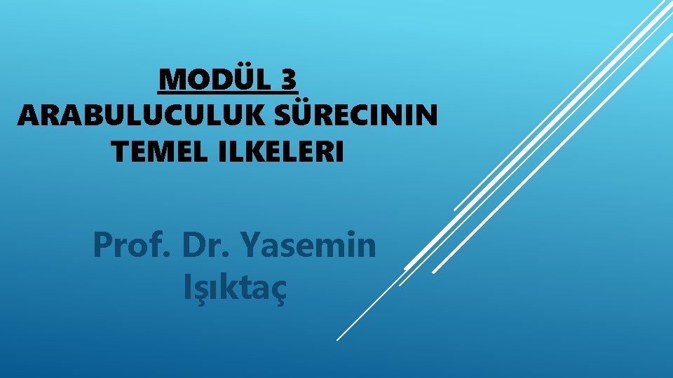 MODÜL 3 ARABULUCULUK SÜRECININ TEMEL ILKELERI Prof. Dr. Yasemin Işıktaç 