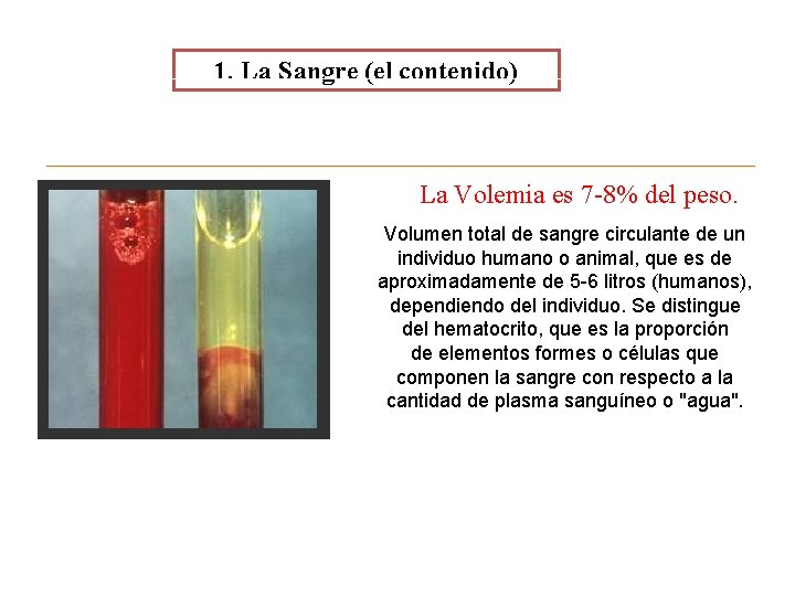 1. La Sangre (el contenido) Agua La Volemia es 7 -8% del peso. Células