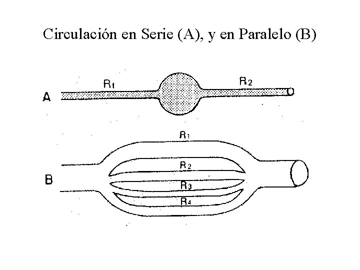 Circulación en Serie (A), y en Paralelo (B) 