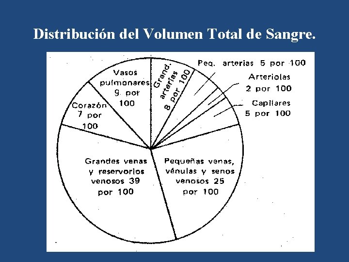 Distribución del Volumen Total de Sangre. 