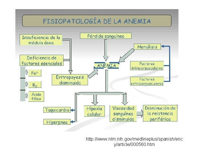 http: //www. nlm. nih. gov/medlineplus/spanish/enc y/article/000560. htm 