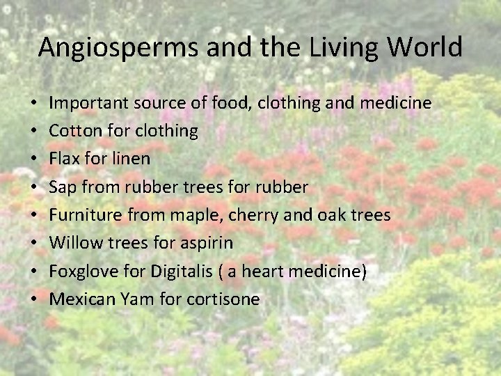 Angiosperms and the Living World • • Important source of food, clothing and medicine