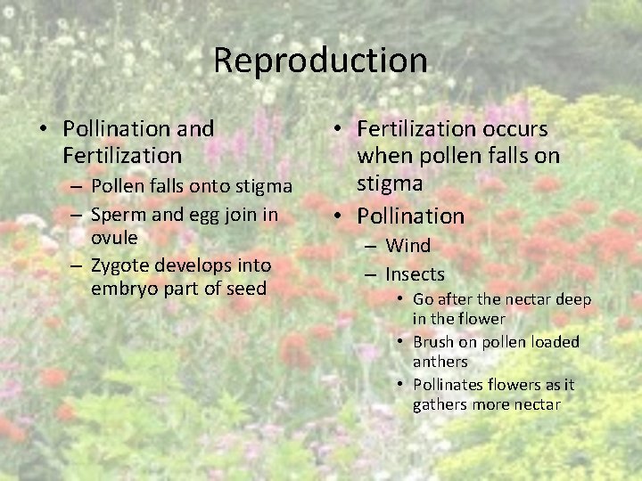 Reproduction • Pollination and Fertilization – Pollen falls onto stigma – Sperm and egg Reproduction • Pollination and Fertilization – Pollen falls onto stigma – Sperm and egg