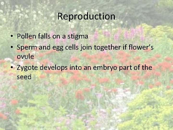 Reproduction • Pollen falls on a stigma • Sperm and egg cells join together