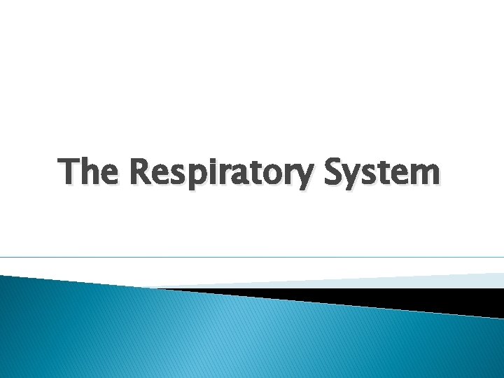 The Respiratory System 