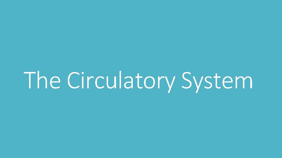 The Circulatory System 