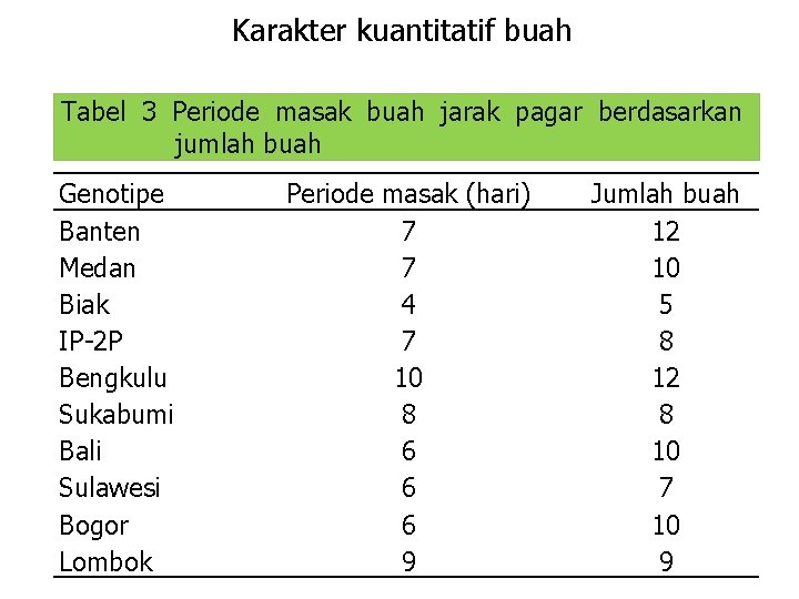 Karakter kuantitatif buah Tabel 3 Periode masak buah jarak pagar berdasarkan jumlah buah Genotipe