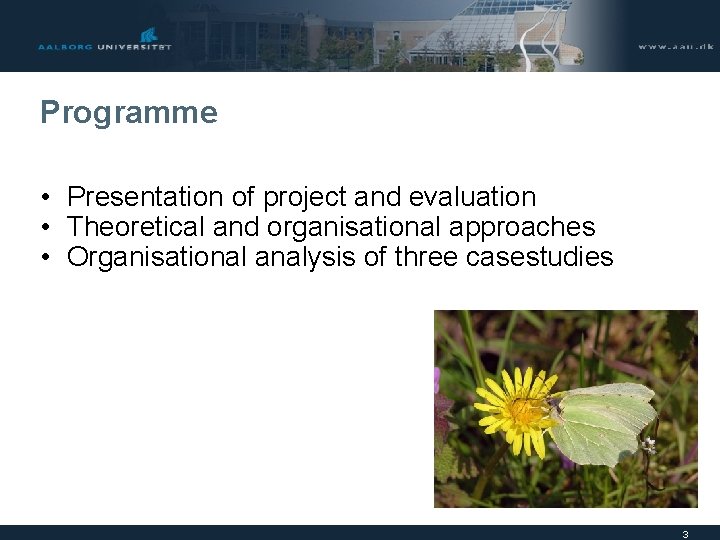 Programme • Presentation of project and evaluation • Theoretical and organisational approaches • Organisational