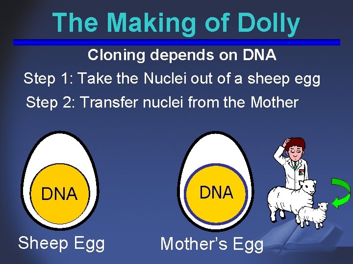 The Making of Dolly Cloning depends on DNA Step 1: Take the Nuclei out