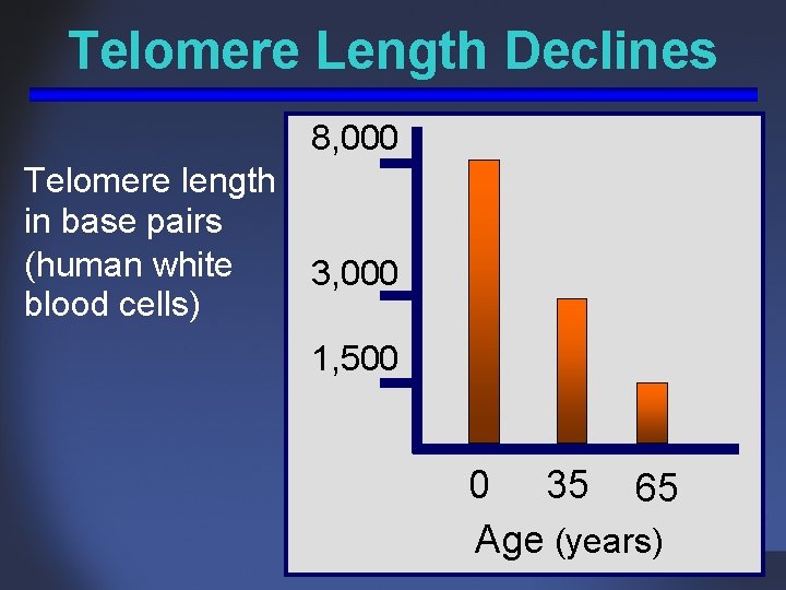 Telomere Length Declines 8, 000 Telomere length in base pairs (human white 3, 000