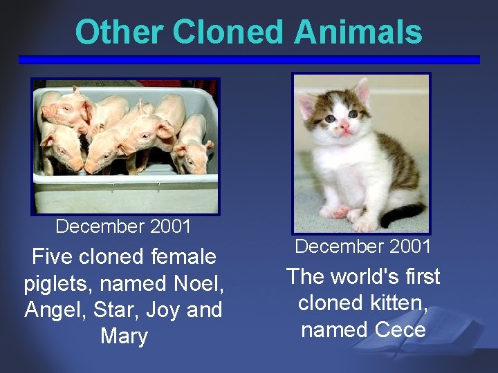 Other Cloned Animals December 2001 Five cloned female piglets, named Noel, Angel, Star, Joy