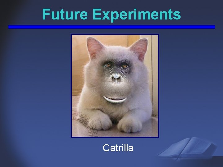 Future Experiments Catrilla 