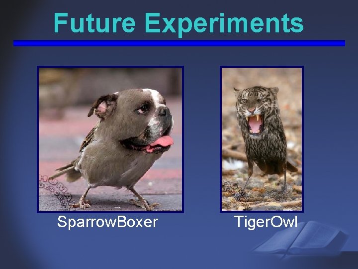 Future Experiments Sparrow. Boxer Tiger. Owl 