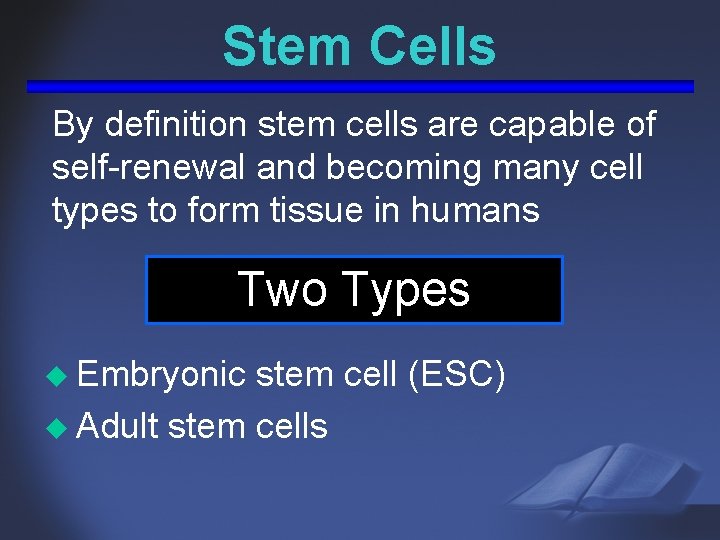 Stem Cells By definition stem cells are capable of self-renewal and becoming many cell