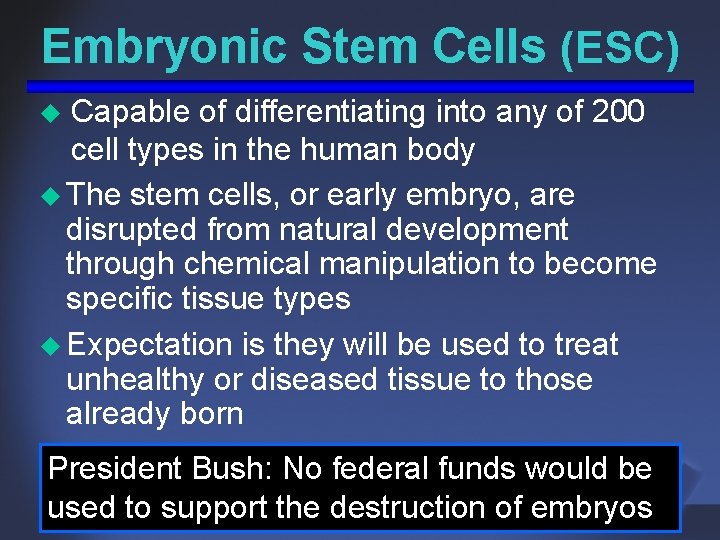 Embryonic Stem Cells (ESC) Capable of differentiating into any of 200 cell types in