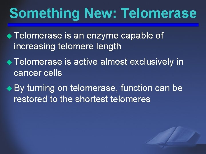 Something New: Telomerase u Telomerase is an enzyme capable of increasing telomere length u