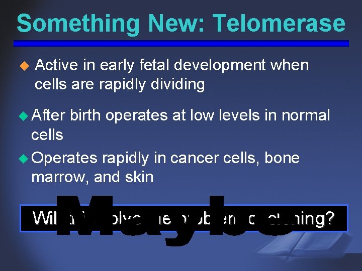 Something New: Telomerase u Active in early fetal development when cells are rapidly dividing