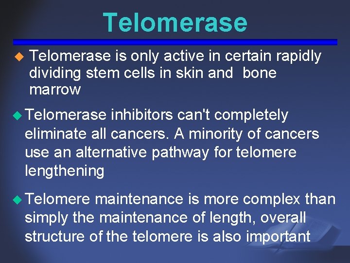 Telomerase u Telomerase is only active in certain rapidly dividing stem cells in skin