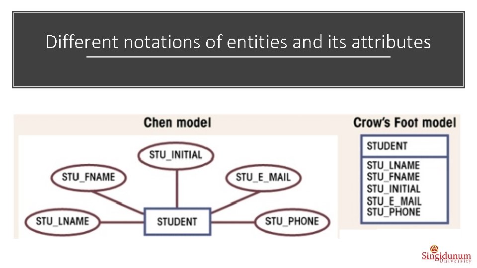 Different notations of entities and its attributes 