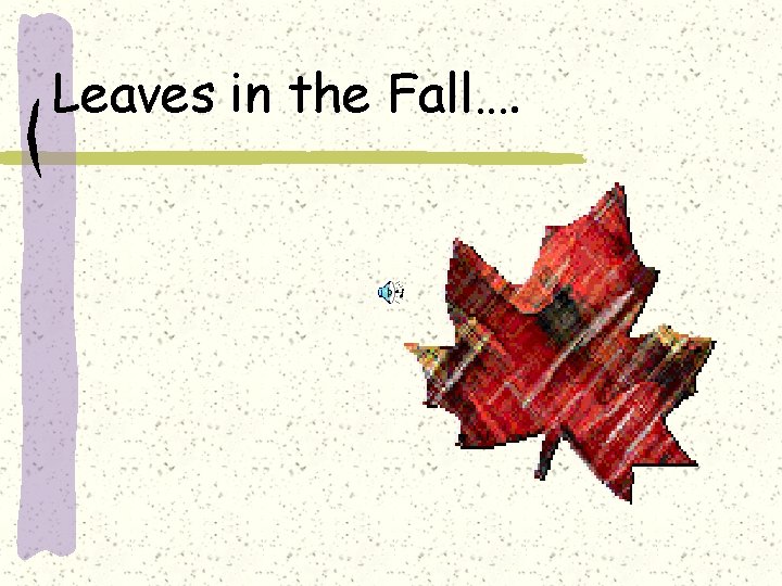 Leaves in the Fall…. 