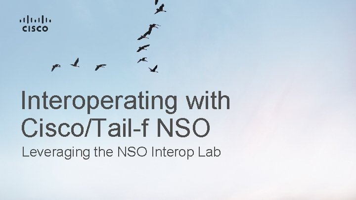 Interoperating with Cisco/Tail-f NSO Leveraging the NSO Interop Lab 