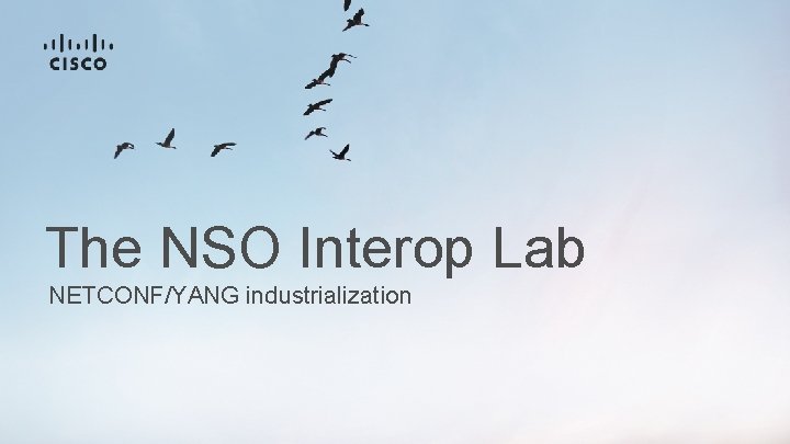 The NSO Interop Lab NETCONF/YANG industrialization 