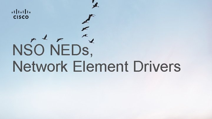 NSO NEDs, Network Element Drivers 