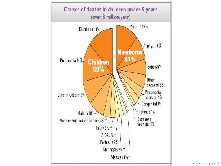 29 © 2013 MFMER | slide-19 