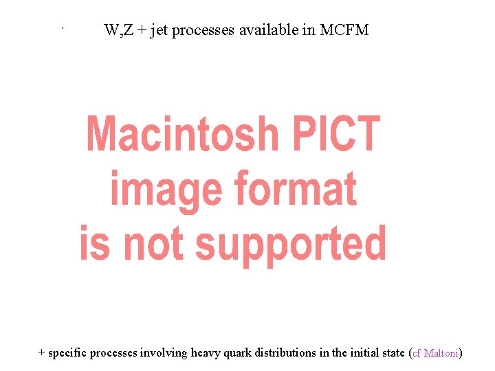 ' W, Z + jet processes available in MCFM + specific processes involving heavy