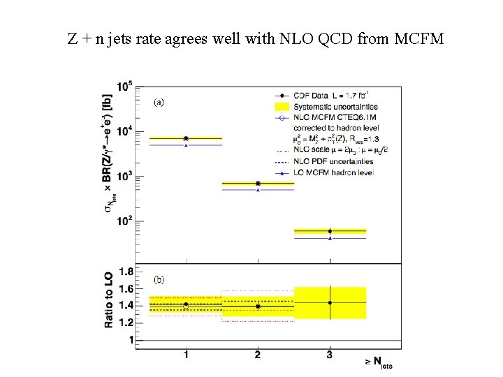 Z + n jets rate agrees well with NLO QCD from MCFM 