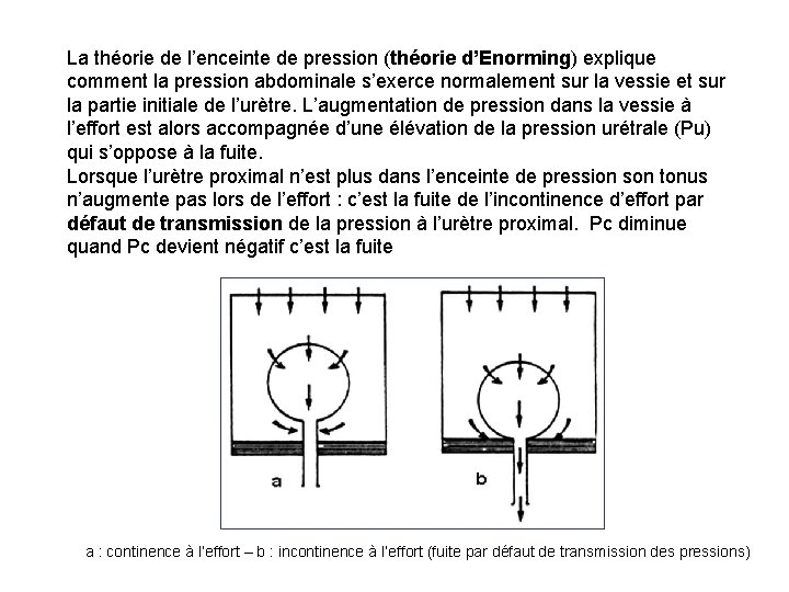 La théorie de l’enceinte de pression (théorie d’Enorming) explique comment la pression abdominale s’exerce