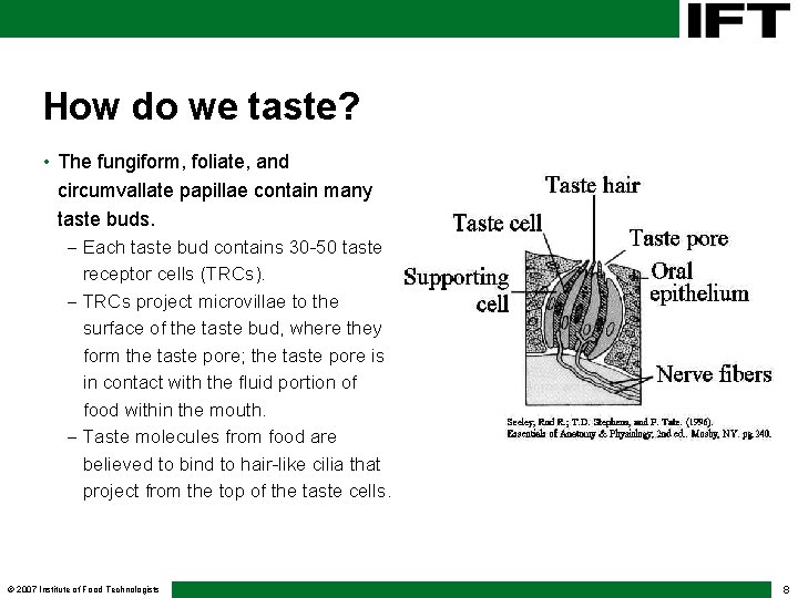 How do we taste? • The fungiform, foliate, and circumvallate papillae contain many taste How do we taste? • The fungiform, foliate, and circumvallate papillae contain many taste