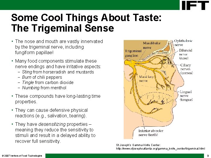 Some Cool Things About Taste: The Trigeminal Sense • The nose and mouth are Some Cool Things About Taste: The Trigeminal Sense • The nose and mouth are