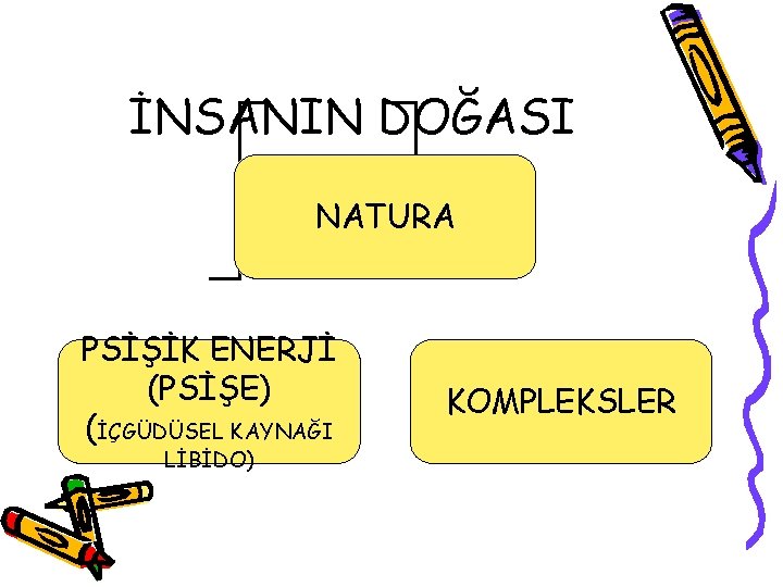 İNSANIN DOĞASI NATURA PSİŞİK ENERJİ (PSİŞE) (İÇGÜDÜSEL KAYNAĞI LİBİDO) KOMPLEKSLER 