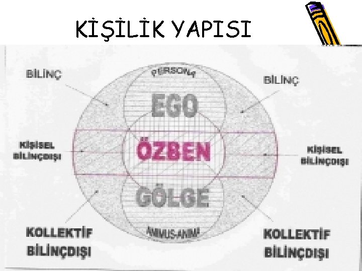 KİŞİLİK YAPISI 