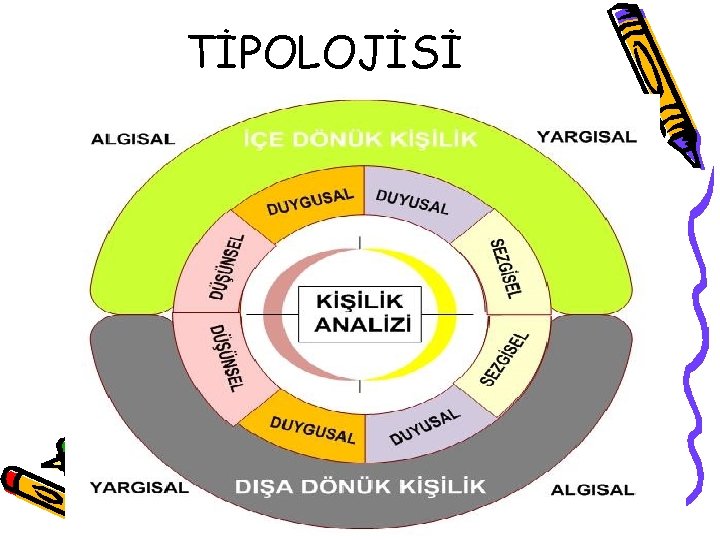 TİPOLOJİSİ 