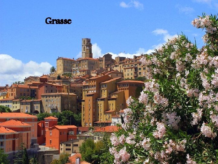 Grasse 