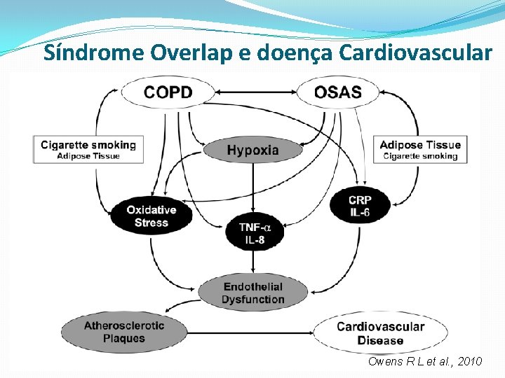 Síndrome Overlap e doença Cardiovascular Owens R L et al. , 2010 