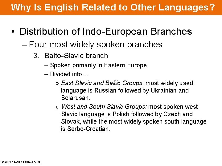 Why Is English Related to Other Languages? • Distribution of Indo-European Branches – Four