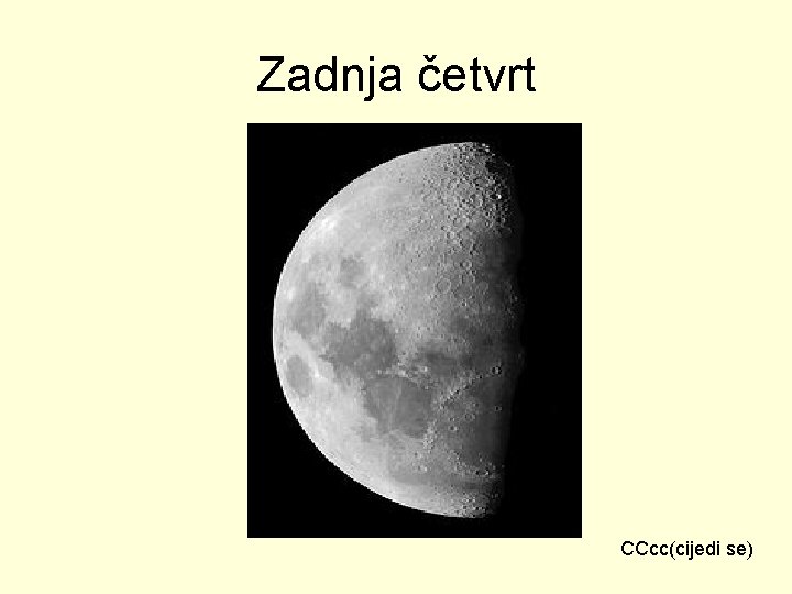 Zadnja četvrt CCcc(cijedi se) 