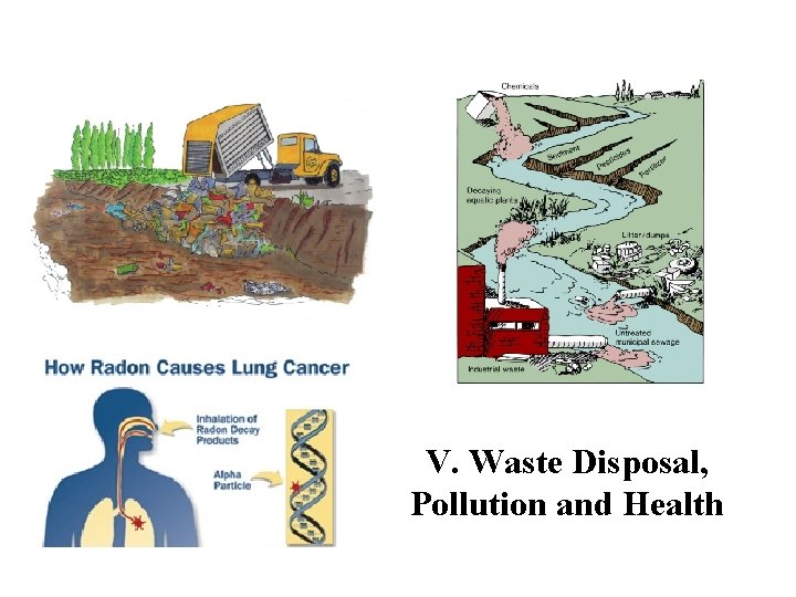 V. Waste Disposal, Pollution and Health 