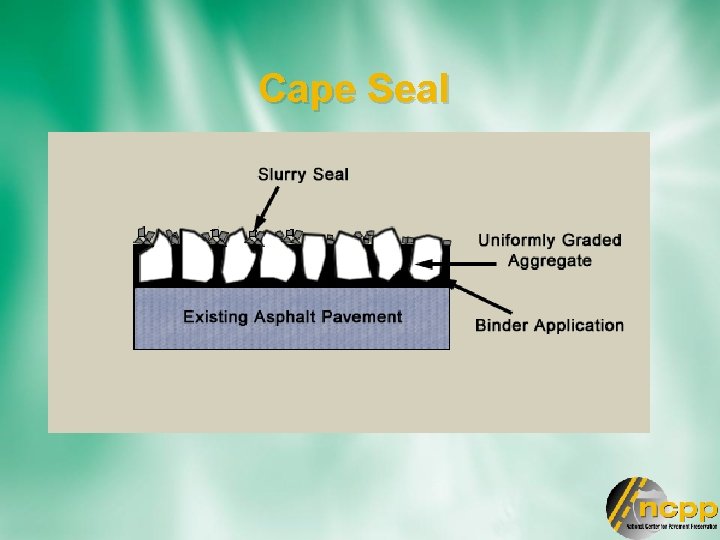 Cape Seal 
